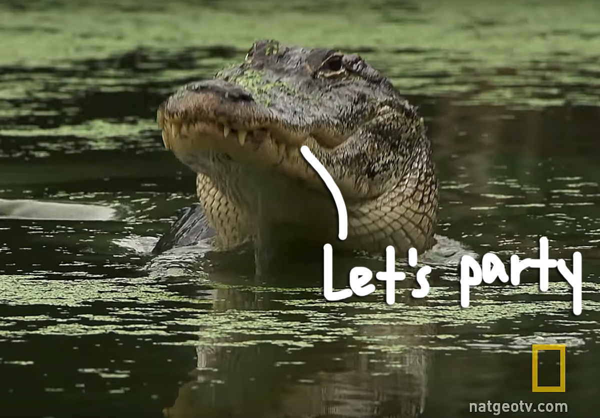 Meth-gators are a threat now