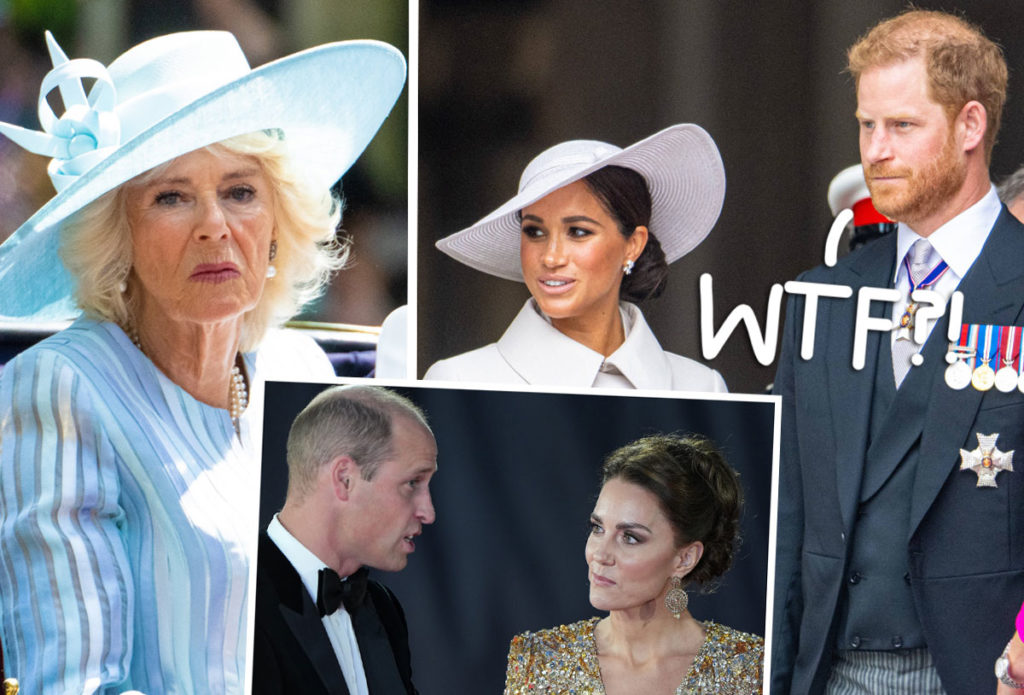 Prince Harry Claims Queen Camilla Leaked Details About Princess Catherine & Meghan Markle Feud To Press – DETAILS!