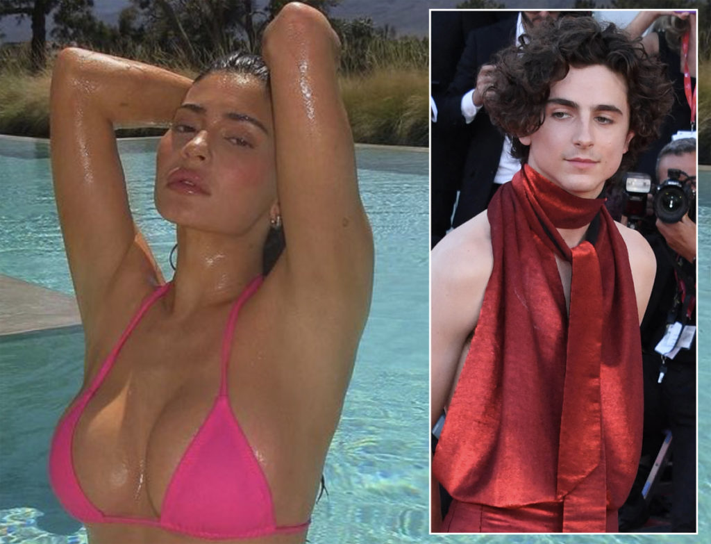 Kylie Jenner Says She's Leaving Future Family Planning To Fate As Timothée Chalamet Relationship Blossoms!