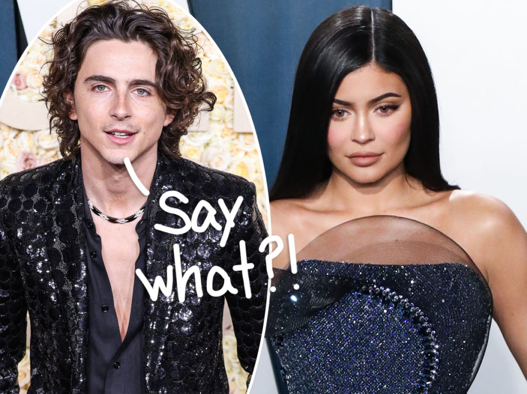 Kylie Jenner Wants To Make Babies With Timothée Chalamet -- And This Is How He Reacted When She Asked Him!