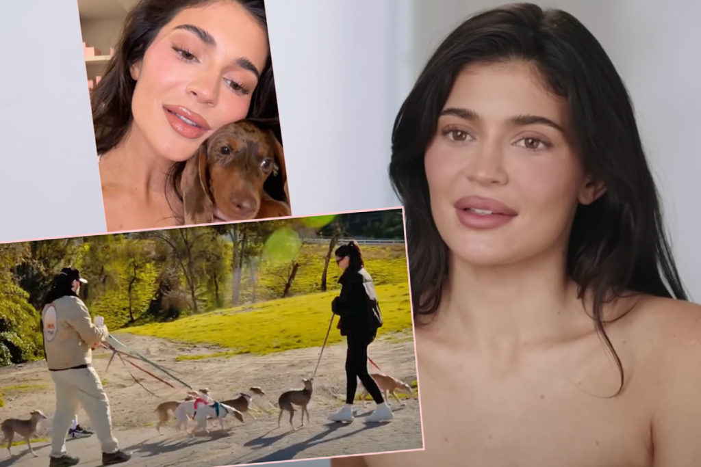 Kylie Jenner DRAGGED For Flaunting ‘Dog Nanny’ For Her SEVEN Dogs!