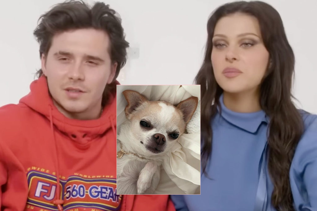 Nicola Peltz Beckham Moves Forward With Lawsuit Against Dog Groomer Over Death Of ‘Baby Nala’ -- Read Her Heartbroken Statement