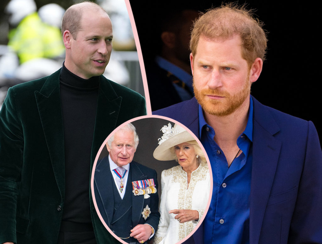 Prince Harry Says He & Prince William Begged Charles Not To Marry Camilla!