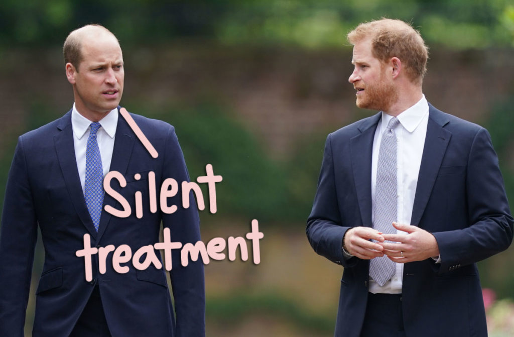 Prince Harry & Prince William Haven't Spoken A WORD To Each Other: 'A Big Void'