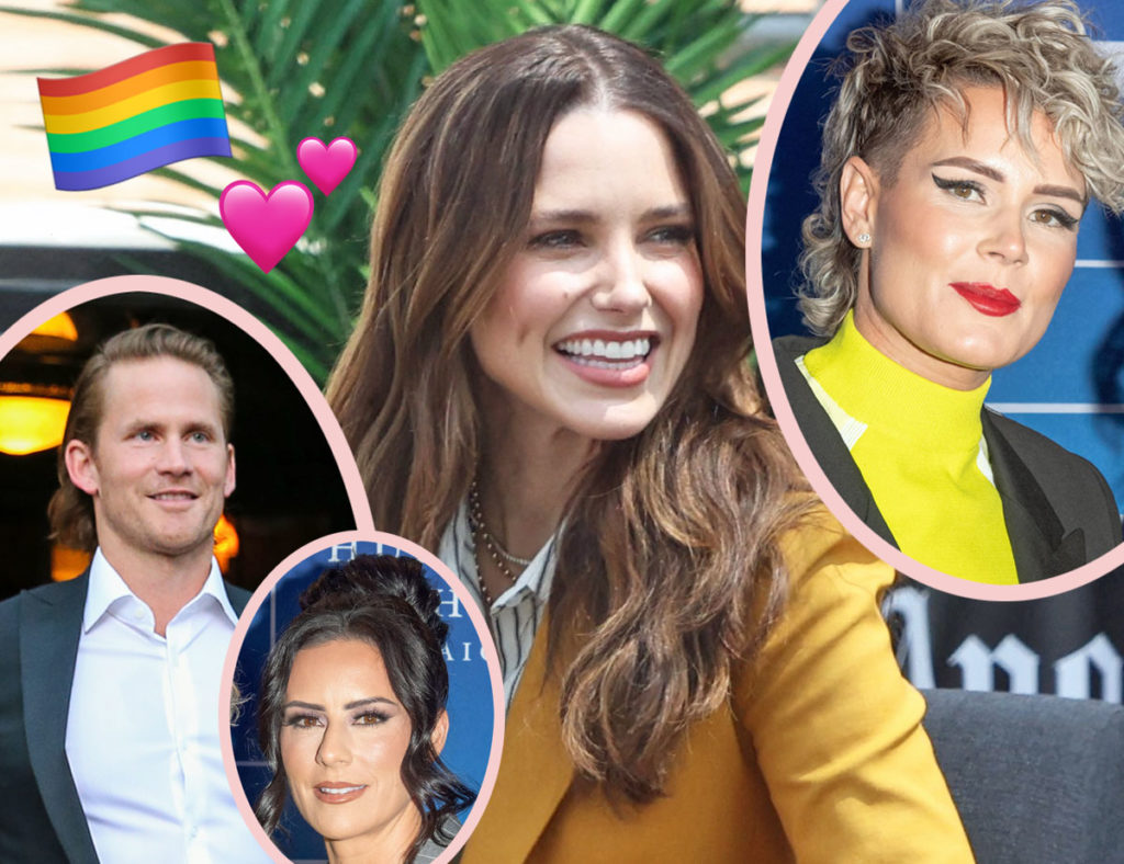 Sophia Bush Comes Out -- Details Homewrecking & Cheating Rumors, And Confirms Ashlyn Harris Relationship!